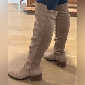 Charles David Suede Brown Heeled Boots (good condition)